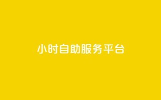 dy24小时自助服务平台 - 24小时在线自助服务平台dy，帮助您随时解决问题!