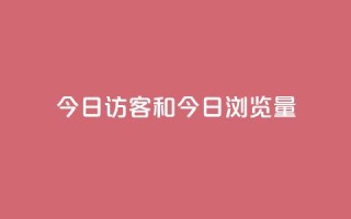 今日访客和今日浏览量,网红商城快手业务24小时营业 - pdd提现700套路最后一步 - 全网最低价业务网站