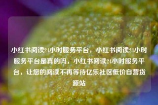 小红书阅读24小时服务平台，小红书阅读24小时服务平台是真的吗，小红书阅读24小时服务平台，让您的阅读不再等待亿乐社区低价自营货源站