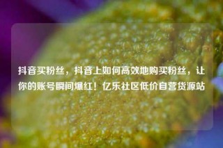抖音买粉丝，抖音上如何高效地购买粉丝，让你的账号瞬间爆红！亿乐社区低价自营货源站
