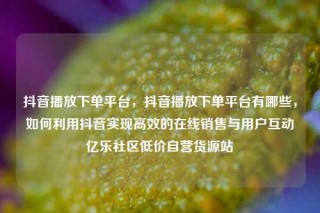 抖音播放下单平台，抖音播放下单平台有哪些，如何利用抖音实现高效的在线销售与用户互动亿乐社区低价自营货源站