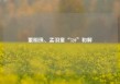 董明珠、孟羽童“520”和解