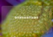 快手粉丝在线平台,快手