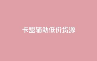 卡盟辅助低价货源,qq云商城网站 - 拼多多自助业务网 - 拼多多上几十块的菜刀可靠吗