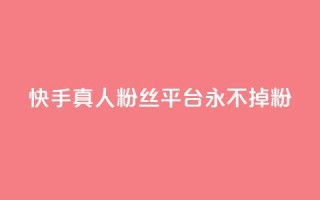 快手真人粉丝平台 永不掉粉 - 快手粉丝平台，绝对稳定永不流失！
