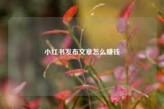 小红书发布文章怎么赚钱
