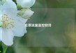 免费流量监控软件