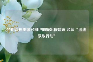 特朗普称美国已向伊朗提出核建议 必须“迅速采取行动”