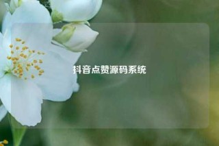抖音点赞源码系统
