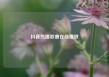 抖音热播歌曲在线播放
