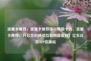 流量卡推荐，流量卡推荐排行榜前十名，流量卡推荐，开启您的移动互联网新旅程！亿乐社区SUP货源站