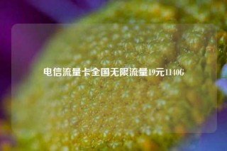 电信流量卡全国无限流量19元1140G