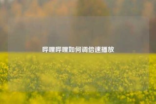 哔哩哔哩如何调倍速播放