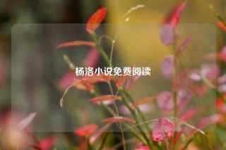 杨洛小说免费阅读