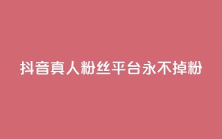 抖音真人粉丝平台 永不掉粉,抖音低价下单网站 - qq自助下单平台秒速 - 卡盟秒刷排行榜第一