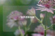 快手进粉丝群