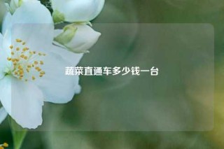 蔬菜直通车多少钱一台
