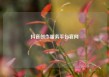 抖音创作服务平台官网