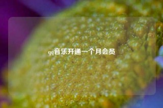 qq音乐开通一个月会员