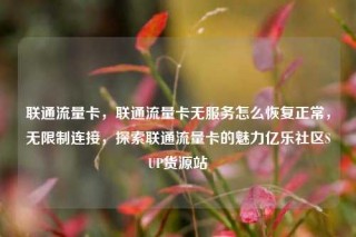 联通流量卡，联通流量卡无服务怎么恢复正常，无限制连接，探索联通流量卡的魅力亿乐社区SUP货源站