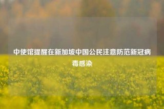 中使馆提醒在新加坡中国公民注意防范新冠病毒感染