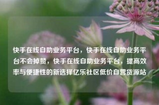 快手在线自助业务平台，快手在线自助业务平台不会掉赞，快手在线自助业务平台，提高效率与便捷性的新选择亿乐社区低价自营货源站