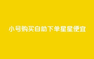 qq小号购买自助下单星星便宜,1000个粉丝100元真实吗 - 一元买500个赞 - 免费获赞自动下单平台网站