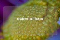 抖音粉丝灯牌升级表5级