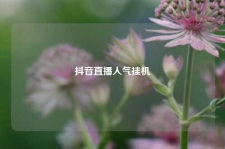 抖音直播人气挂机
