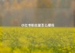 小红书粉丝量怎么赚钱