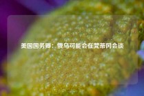 美国国务卿：俄乌可能会在梵蒂冈会谈