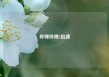 哔哩哔哩2倍速