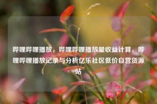 哔哩哔哩播放，哔哩哔哩播放量收益计算，哔哩哔哩播放记录与分析亿乐社区低价自营货源站