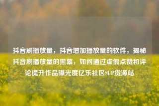 抖音刷播放量，抖音增加播放量的软件，揭秘抖音刷播放量的黑幕，如何通过虚假点赞和评论提升作品曝光度亿乐社区SUP货源站