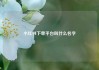 小红书下单平台叫什么名字