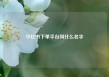 小红书下单平台叫什么名字
