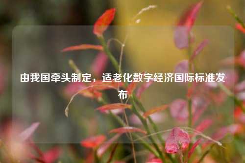 由我国牵头制定，适老化数字经济国际标准发布  第1张