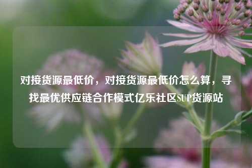 对接货源最低价，对接货源最低价怎么算，寻找最优供应链合作模式亿乐社区SUP货源站  第1张