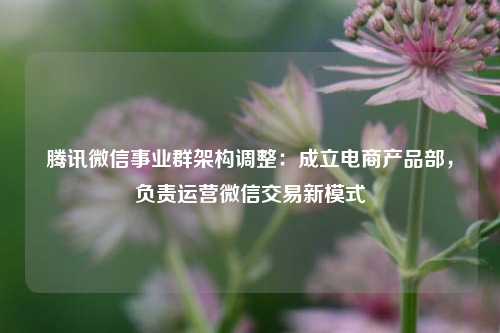 腾讯微信事业群架构调整：成立电商产品部，负责运营微信交易新模式  第1张