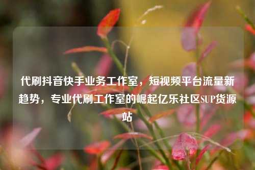 代刷抖音快手业务工作室，短视频平台流量新趋势，专业代刷工作室的崛起亿乐社区SUP货源站  第1张
