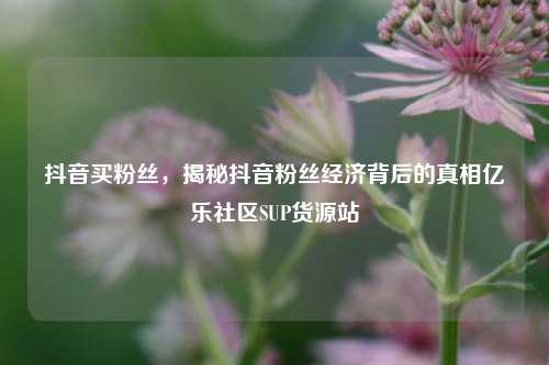 抖音买粉丝，揭秘抖音粉丝经济背后的真相亿乐社区SUP货源站  第1张