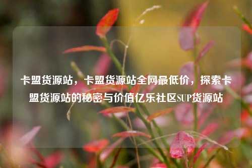 卡盟货源站	，卡盟货源站全网最低价，探索卡盟货源站的秘密与价值亿乐社区SUP货源站  第1张