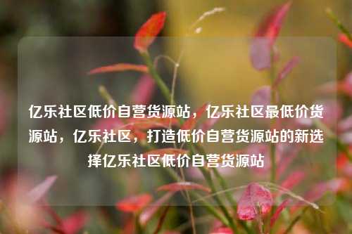 亿乐社区低价自营货源站，亿乐社区最低价货源站，亿乐社区，打造低价自营货源站的新选择亿乐社区低价自营货源站  第1张