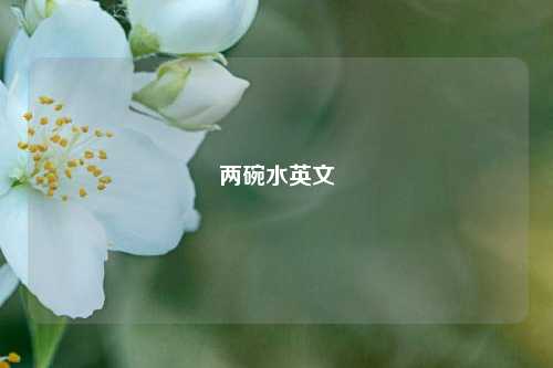 两碗水英文  第1张