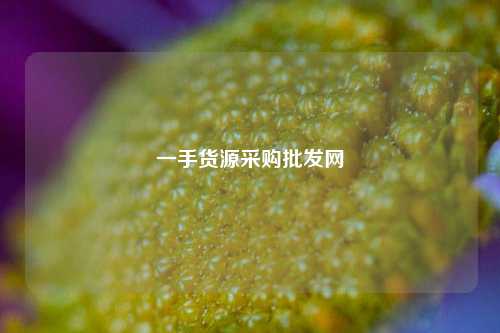 一手货源采购批发网  第1张