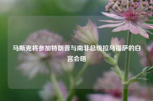马斯克将参加特朗普与南非总统拉马福萨的白宫会晤  第1张