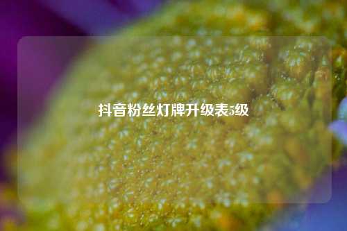 抖音粉丝灯牌升级表5级  第1张
