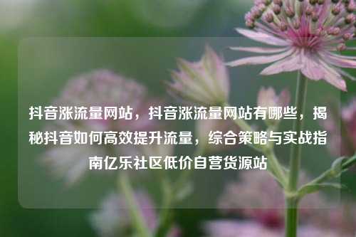 抖音涨流量网站	，抖音涨流量网站有哪些，揭秘抖音如何高效提升流量，综合策略与实战指南亿乐社区低价自营货源站  第1张