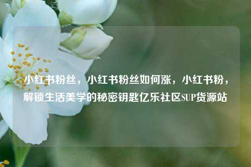 小红书粉丝	，小红书粉丝如何涨，小红书粉，解锁生活美学的秘密钥匙亿乐社区SUP货源站  第1张