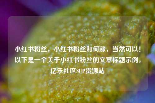 小红书粉丝，小红书粉丝如何涨，当然可以！以下是一个关于小红书粉丝的文章标题示例	，亿乐社区SUP货源站  第1张